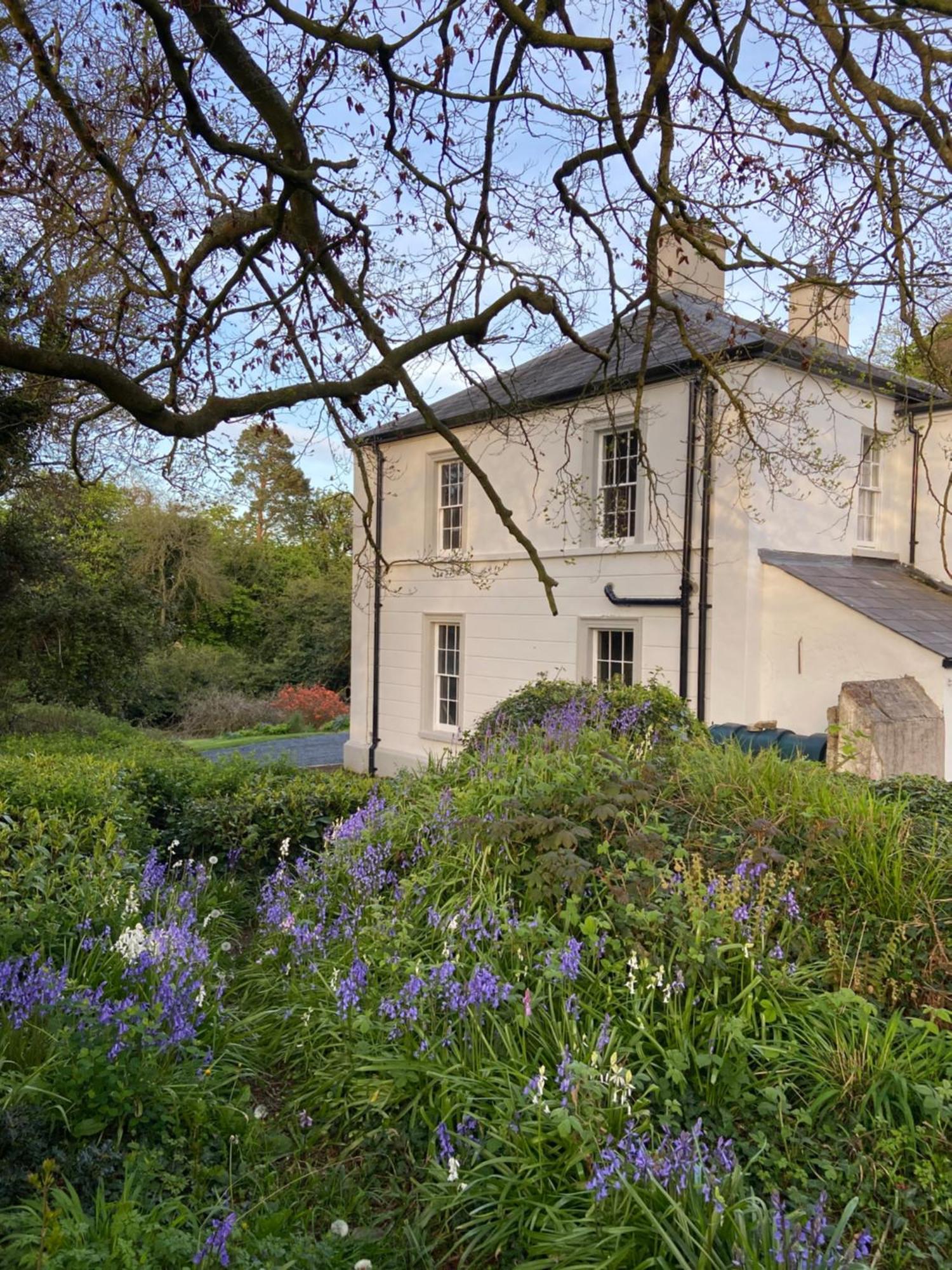 Ashville Georgian House Killinchy Buitenkant foto